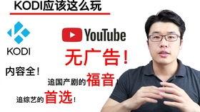 tube国产,揭秘神秘国度的崛起之路
